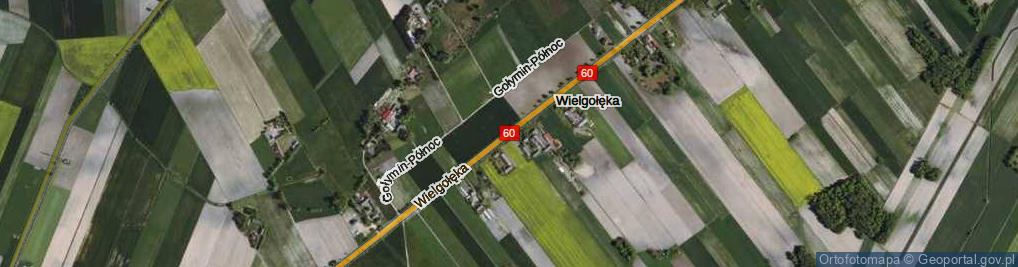 Zdjęcie satelitarne Wielgołęka ul.