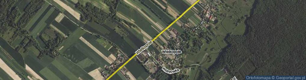 Zdjęcie satelitarne Wielkopole ul.