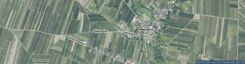 Zdjęcie satelitarne Wielogóra ul.