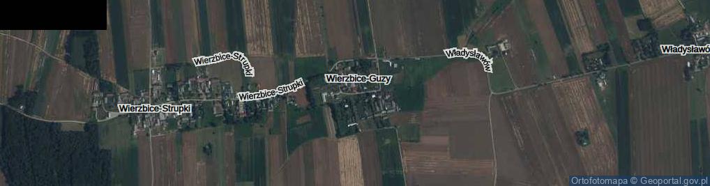 Zdjęcie satelitarne Wierzbice-Guzy ul.