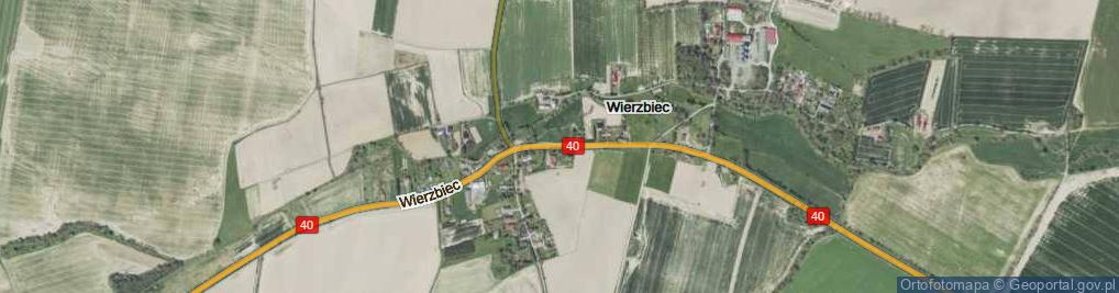 Zdjęcie satelitarne Wierzbiec ul.