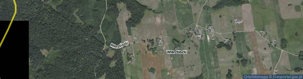 Zdjęcie satelitarne Wierzbiszki ul.