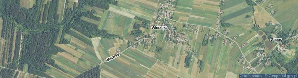 Zdjęcie satelitarne Wierzbka ul.