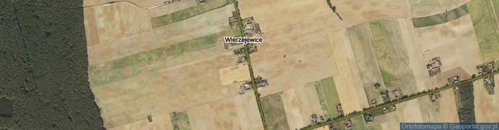 Zdjęcie satelitarne Wierzejewice ul.