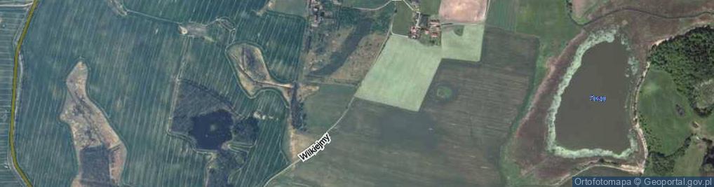 Zdjęcie satelitarne Wilkiejmy ul.