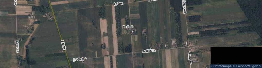Zdjęcie satelitarne Wilcze Doły ul.