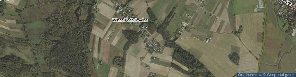 Zdjęcie satelitarne Winne-Podbukowina ul.