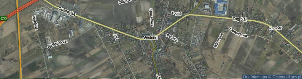 Zdjęcie satelitarne Wiskitki ul.