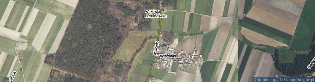Zdjęcie satelitarne Witkówki ul.