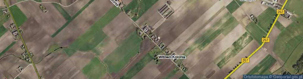 Zdjęcie satelitarne Witowo-Kolonia ul.