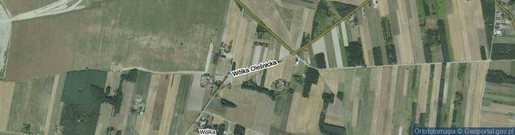 Zdjęcie satelitarne Wólka Oleśnicka ul.