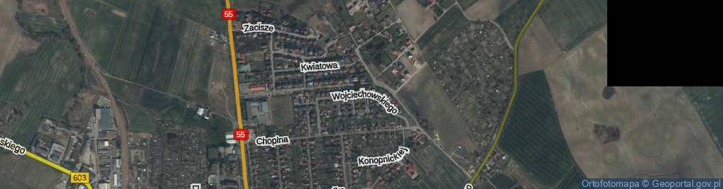 Zdjęcie satelitarne Wojciechowskiego ul.