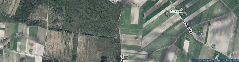 Zdjęcie satelitarne Wohyń ul.