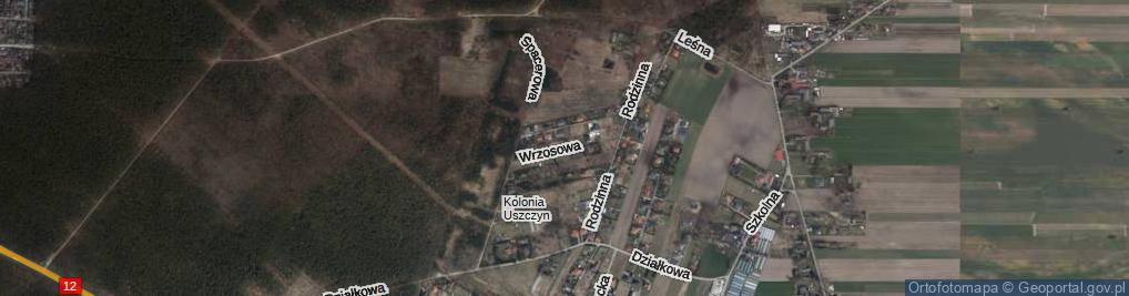 Zdjęcie satelitarne Wrzosowa ul.