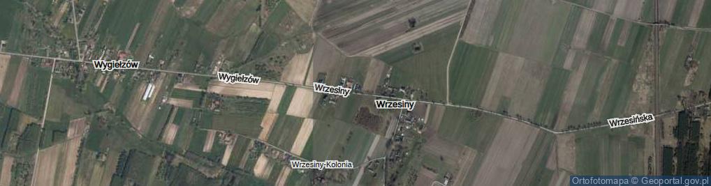Zdjęcie satelitarne Wrzesiny ul.
