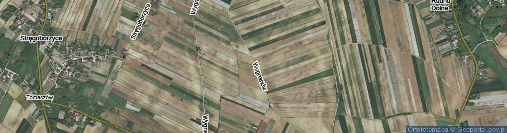 Zdjęcie satelitarne Wygnanów ul.