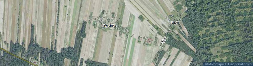 Zdjęcie satelitarne Wycinka ul.