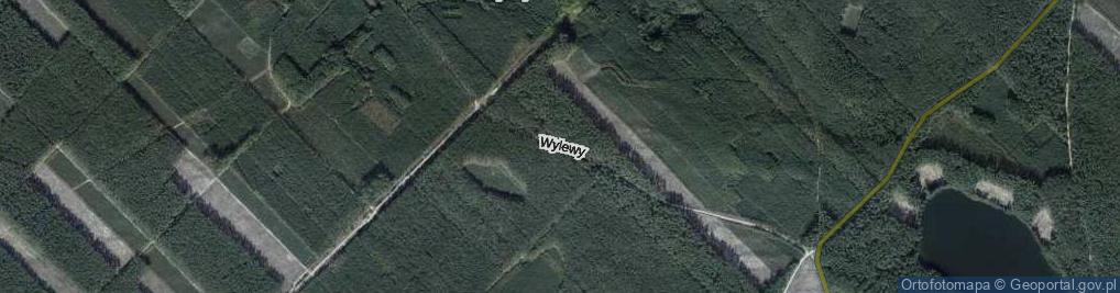 Zdjęcie satelitarne Wylewy ul.