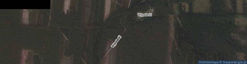Zdjęcie satelitarne Wypalanki ul.