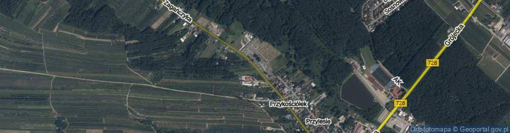 Zdjęcie satelitarne Zagańczyka, ks. ul.