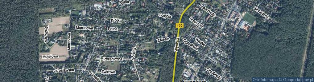 Zdjęcie satelitarne Zalesie ul.