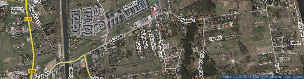 Zdjęcie satelitarne Zamożna ul.