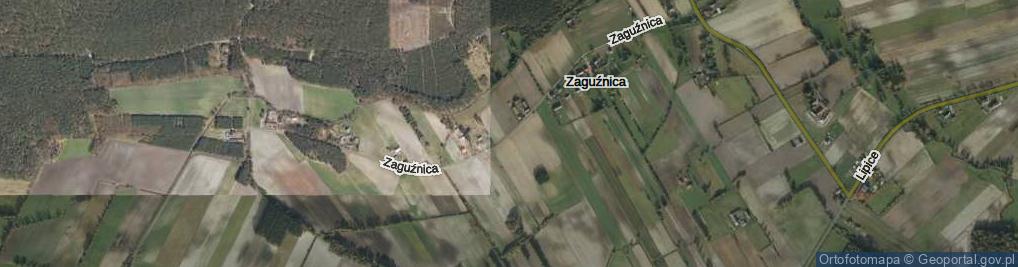 Zdjęcie satelitarne Zaguźnica ul.