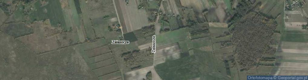 Zdjęcie satelitarne Zalasocze ul.