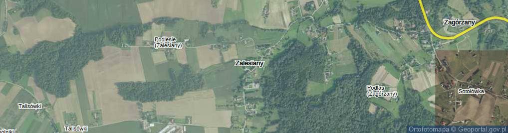 Zdjęcie satelitarne Zalesiany ul.