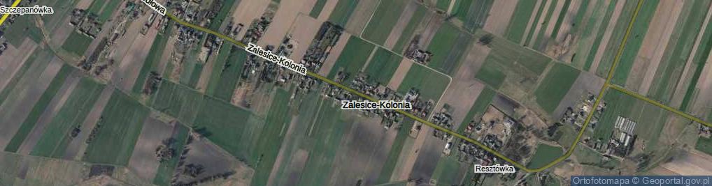 Zdjęcie satelitarne Zalesice-Kolonia ul.