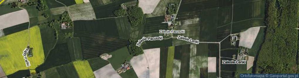 Zdjęcie satelitarne Zalesie-Pacuszki ul.