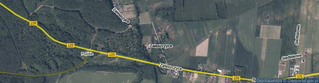 Zdjęcie satelitarne Zaleszczyce ul.