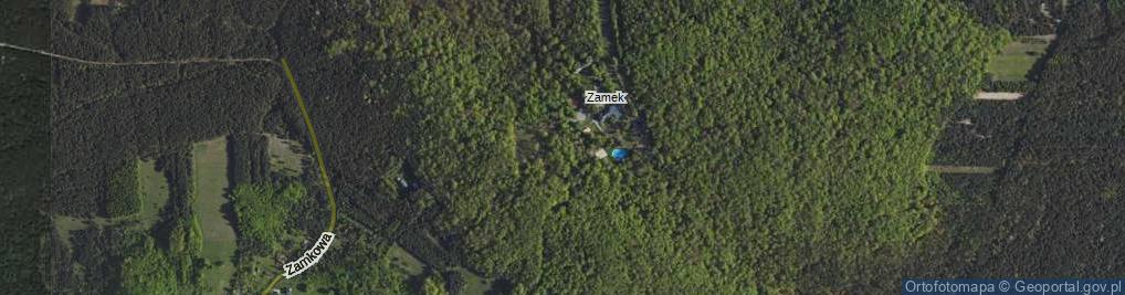 Zdjęcie satelitarne Zamek ul.