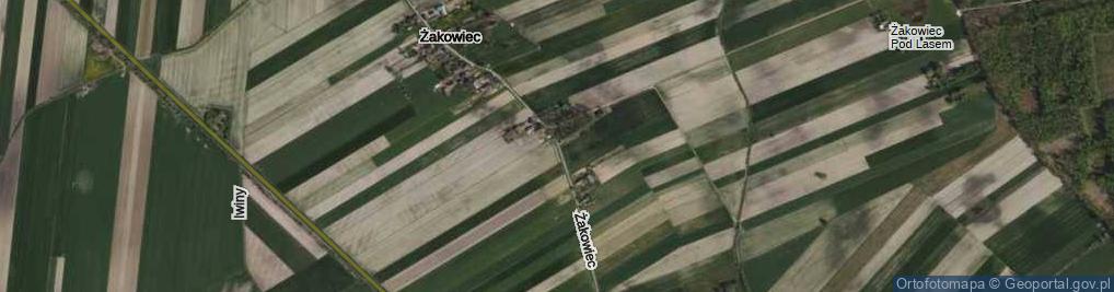 Zdjęcie satelitarne Żakowiec ul.