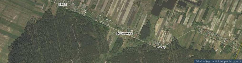 Zdjęcie satelitarne Zdzisławice ul.