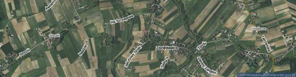 Zdjęcie satelitarne Zdzięsławice ul.