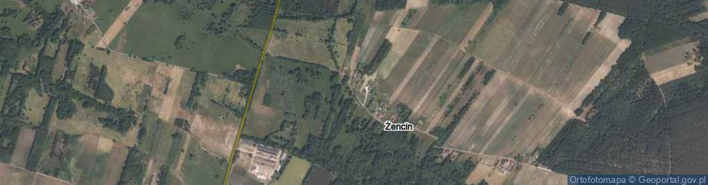 Zdjęcie satelitarne Żencin ul.