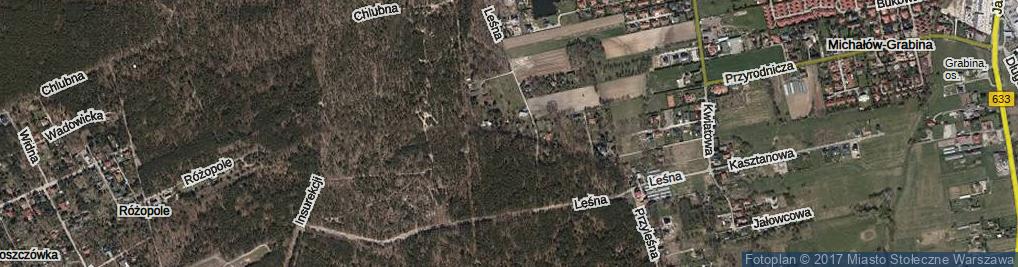 Zdjęcie satelitarne Zielony Zagajnik ul.