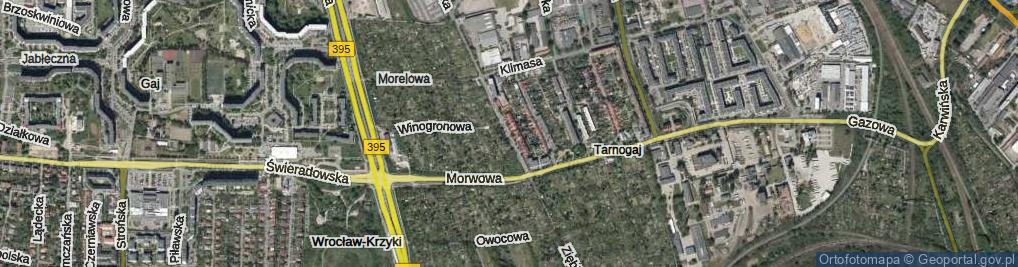 Zdjęcie satelitarne Ziębicka ul.