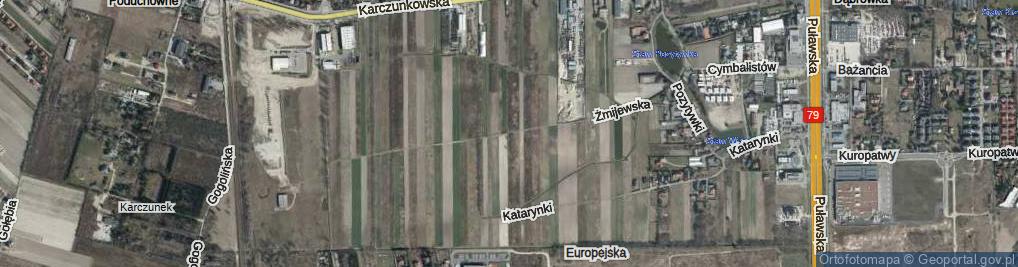 Zdjęcie satelitarne Żmijewska ul.