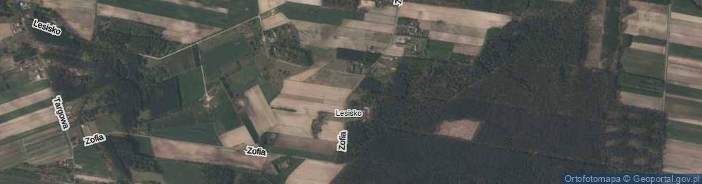Zdjęcie satelitarne Zofia ul.
