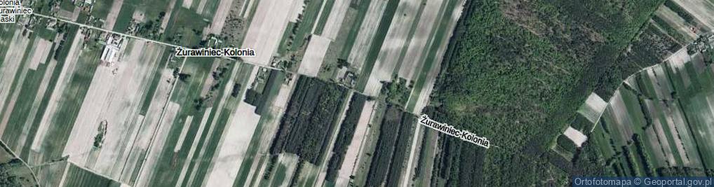 Zdjęcie satelitarne Żurawiniec-Kolonia ul.
