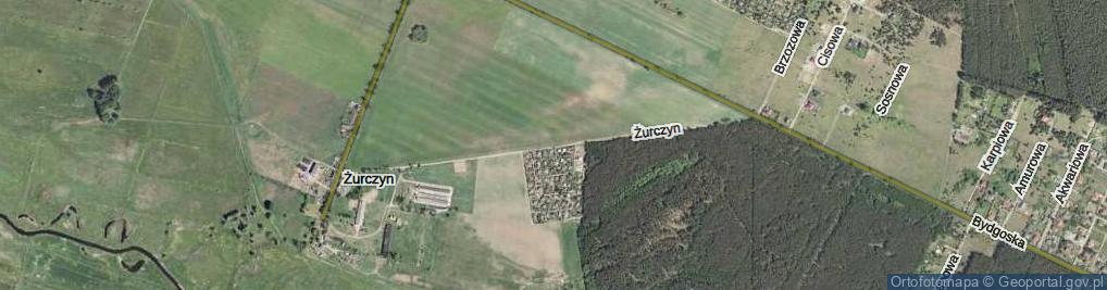 Zdjęcie satelitarne Żurczyn ul.