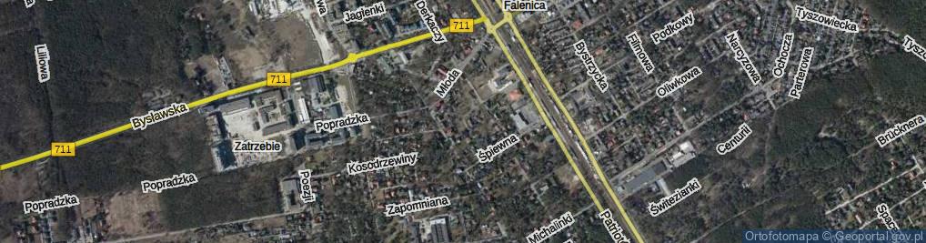 Zdjęcie satelitarne Żywokostowa ul.