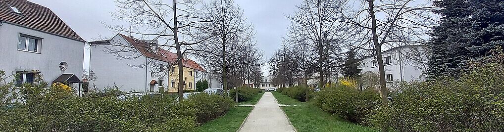 Zdjęcie w galerii Bzowa Wrocław nr 1