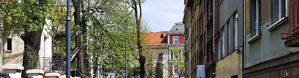 Zdjęcie w galerii Cybulskiego Napoleona Kraków nr 1