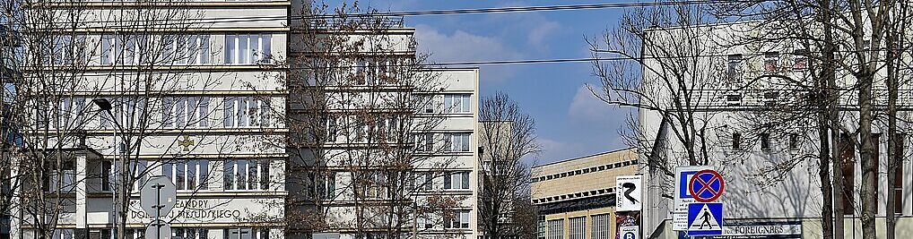 Zdjęcie w galerii Oleandry Kraków nr 1