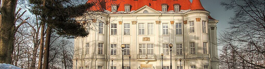 Zdjęcie w galerii Plac Świętojański Wrocław nr 1