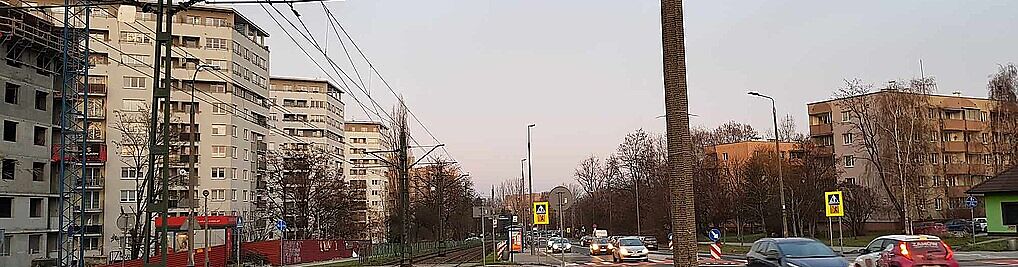 Zdjęcie w galerii Teligi Leonida Kraków nr 1