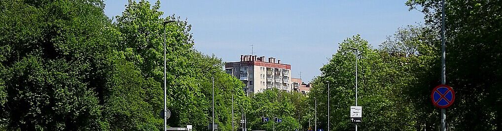 Zdjęcie w galerii Wiślicka Kraków nr 1